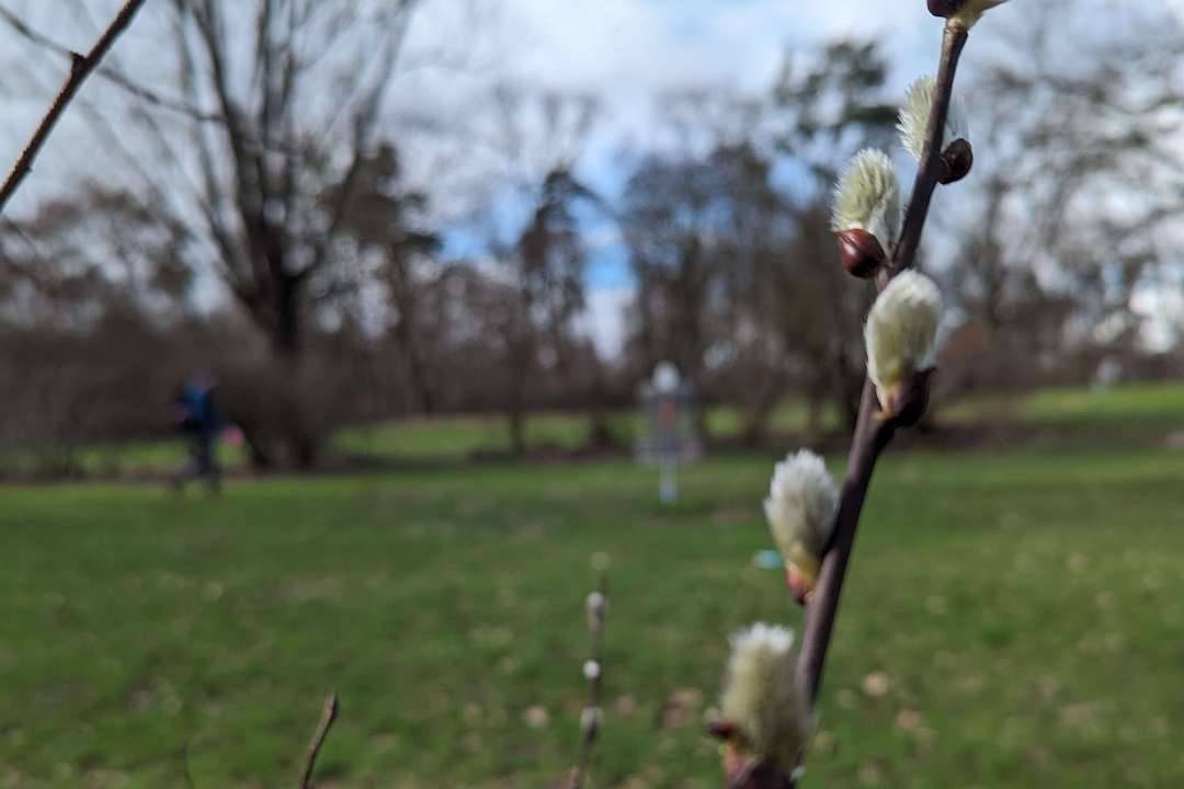 Ausflug nach Rüsselsheim