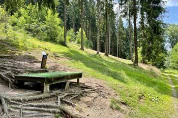 Frühlingsausflug nach Bad Fredeburg