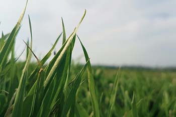 Die Sommerzeit ist da!